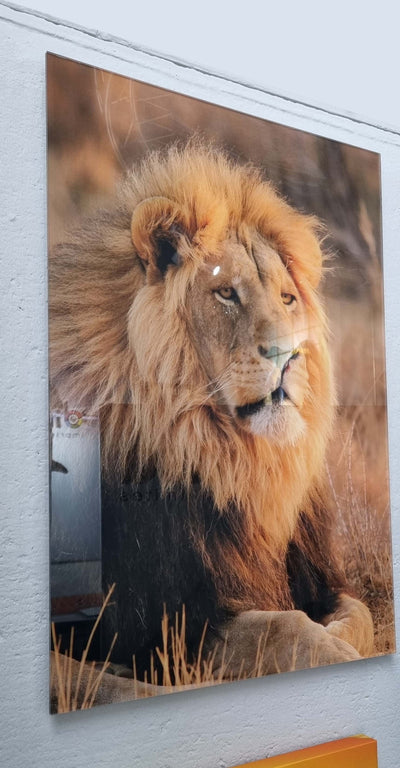 METACRILATO TRANSPARENTE