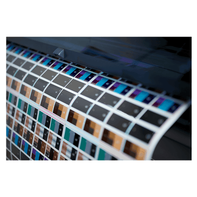 Plotter artistico (IVA INCLUIDO)