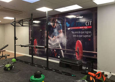 Vinilo Polimérico (IVA INCLUIDO)